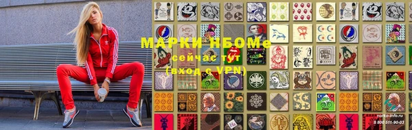 стаф Аркадак