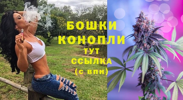 mix Богородск