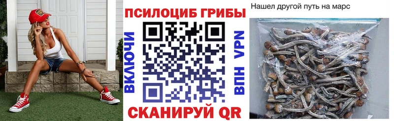Псилоцибиновые грибы GOLDEN TEACHER  Безенчук 